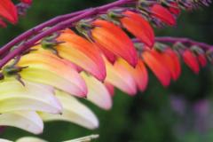 Rumänien von links  MINOLTA DIGITAL CAMERA